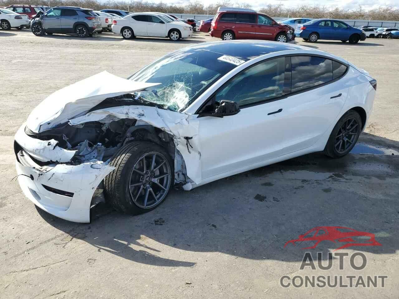 TESLA MODEL 3 2021 - 5YJ3E1EBXMF086987