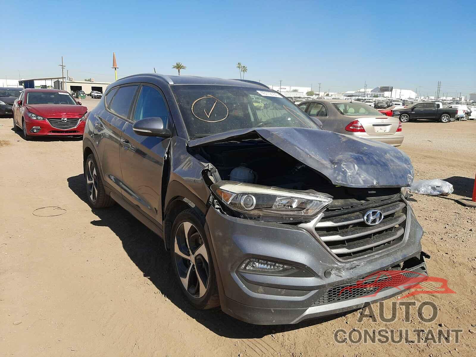HYUNDAI TUCSON 2016 - KM8J33A20GU221321