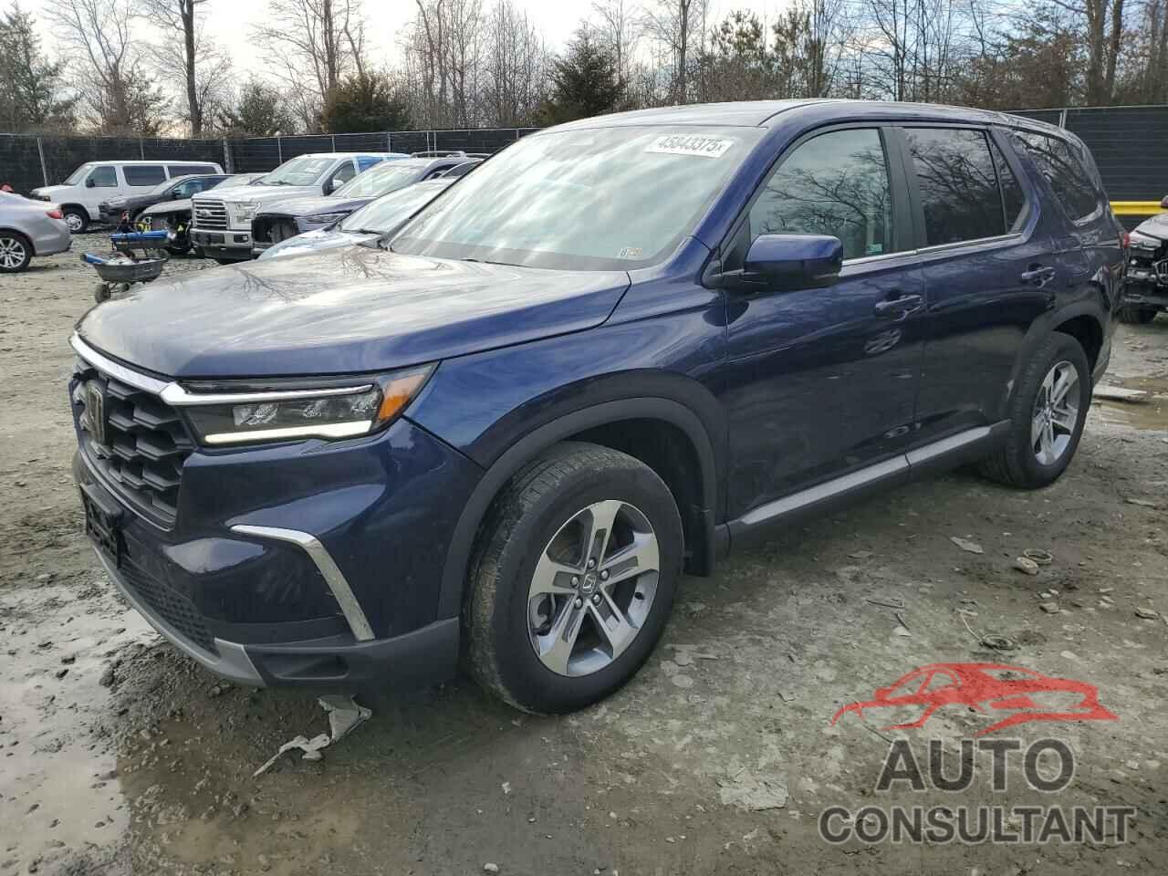 HONDA PILOT 2023 - 5FNYG1H41PB046802