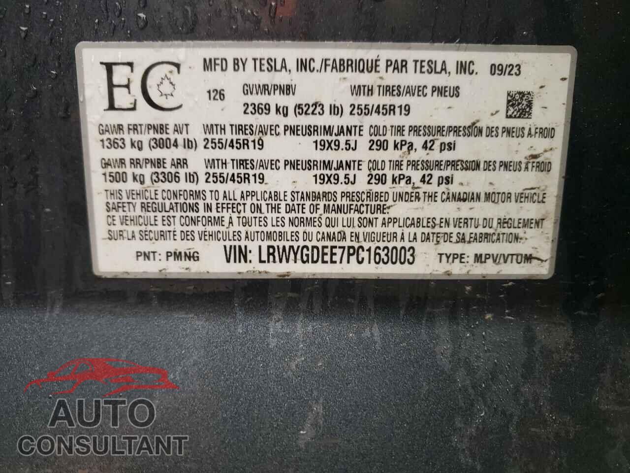 TESLA MODEL Y 2023 - LRWYGDEE7PC163003