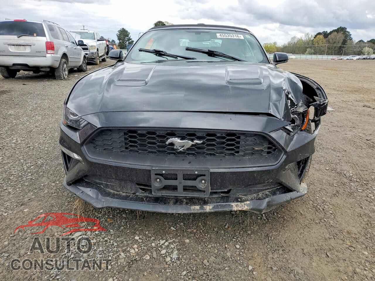 FORD MUSTANG 2019 - 1FATP8UH0K5109240