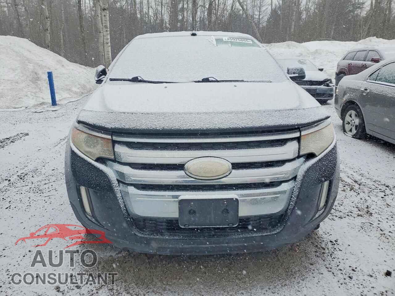 FORD EDGE 2011 - 2FMDK3JCXBBB48935
