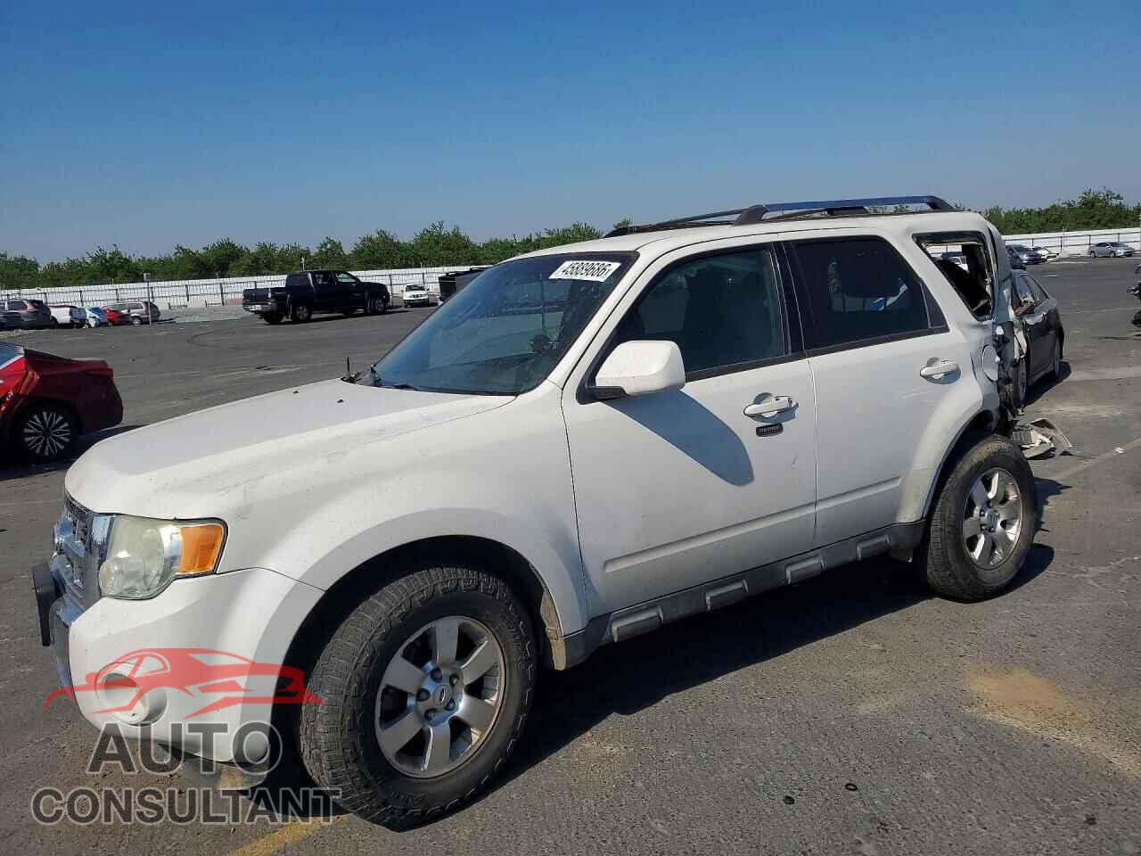 FORD ESCAPE 2011 - 1FMCU0EG7BKB53646