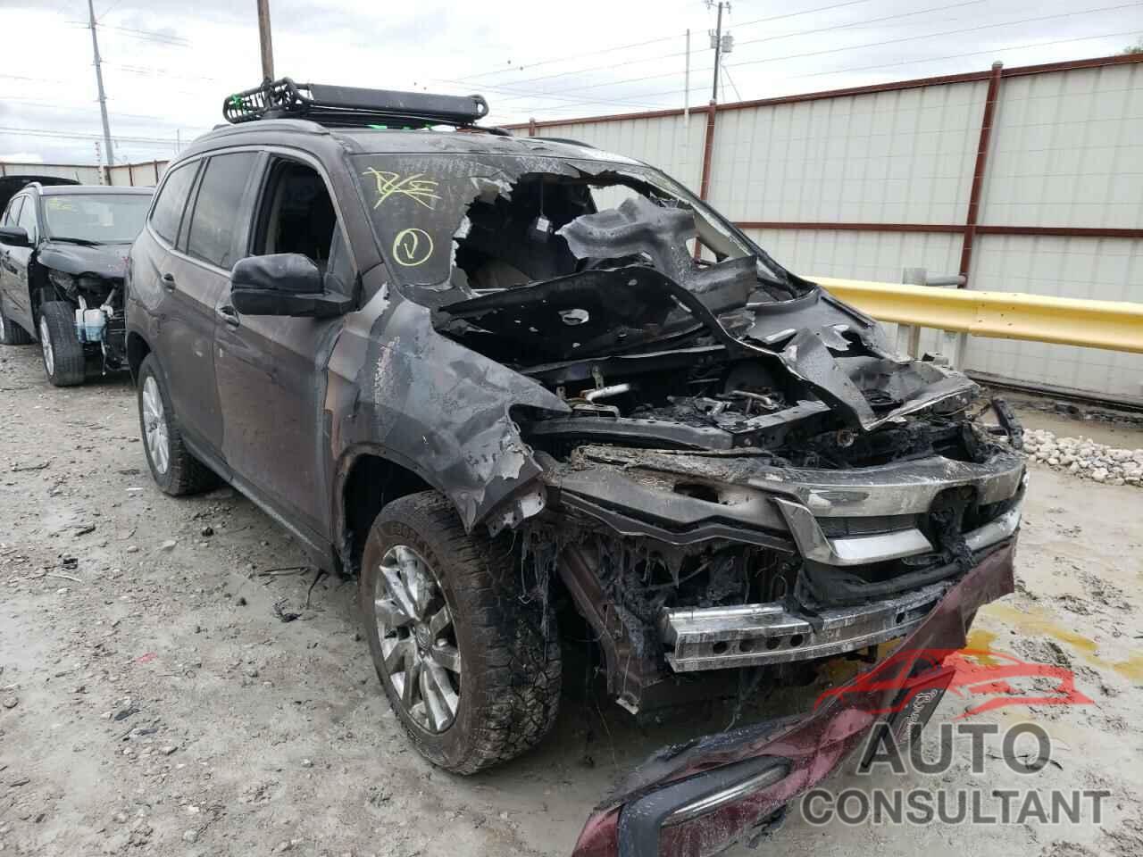 HONDA PILOT 2019 - 5FNYF6H1XKB075830