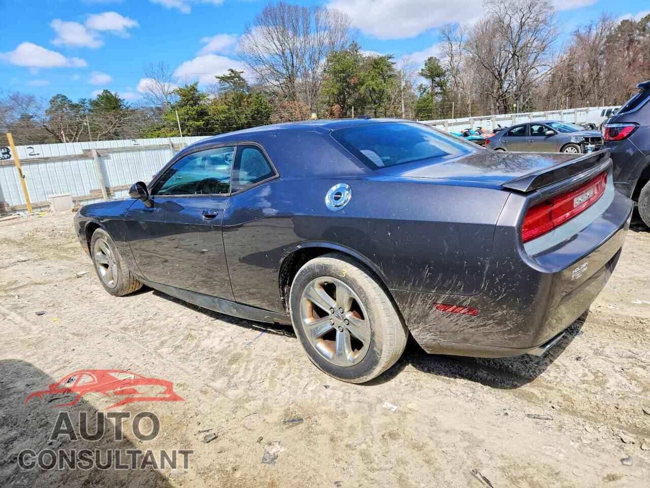 DODGE CHALLENGER 2014 - 2C3CDYAG4EH299415
