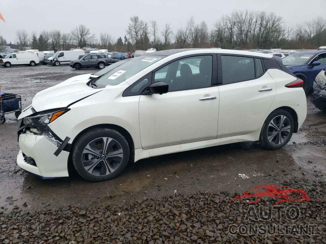 NISSAN LEAF 2022 - 1N4BZ1CV7NC554756