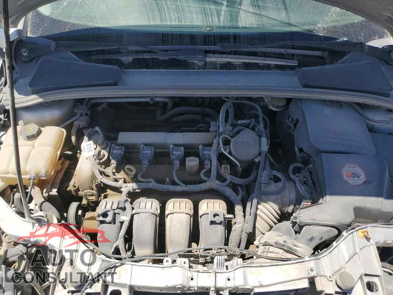 FORD FOCUS 2014 - 1FADP3F20EL431442