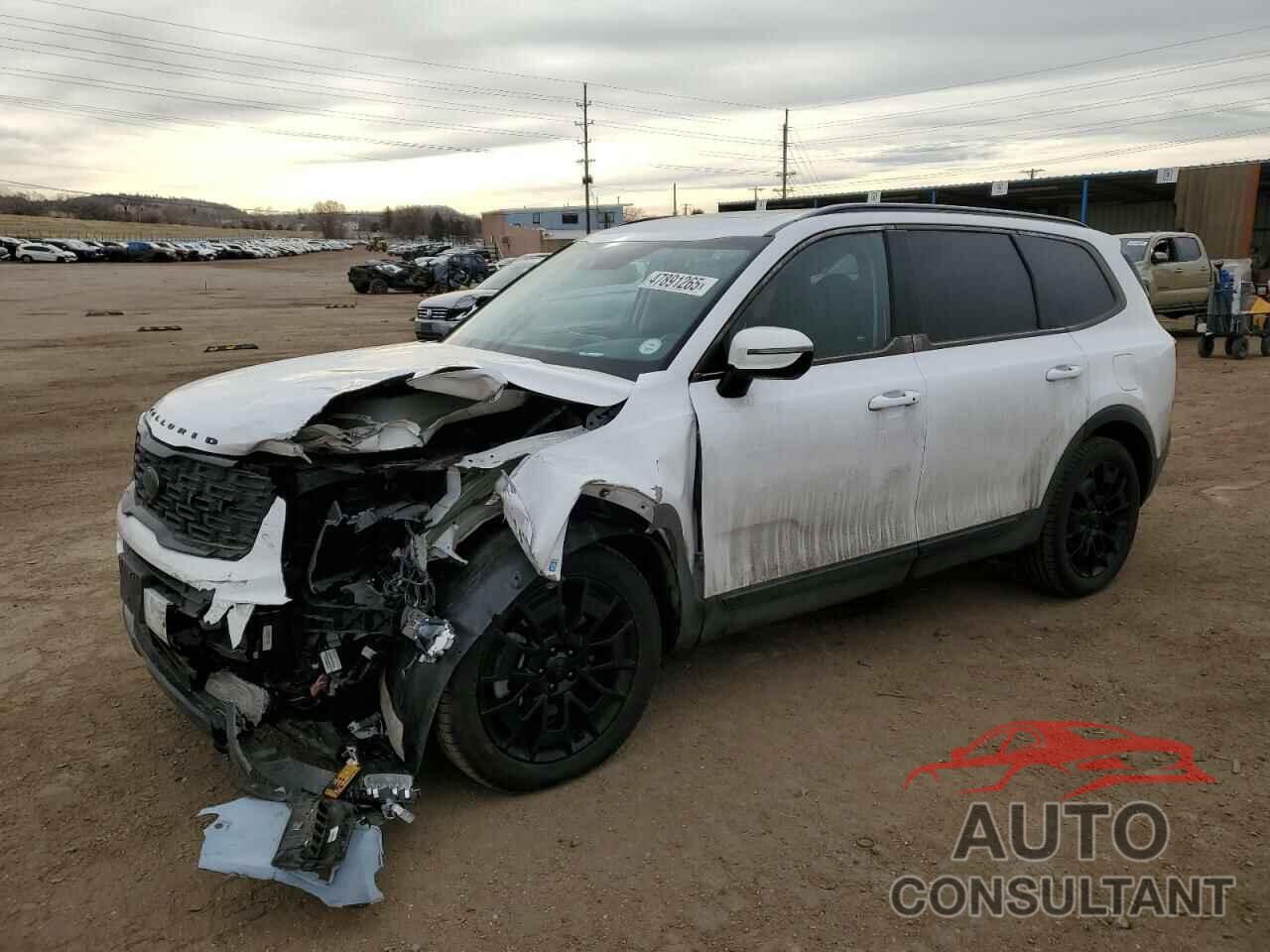 KIA TELLURIDE 2021 - 5XYP5DHC5MG115425