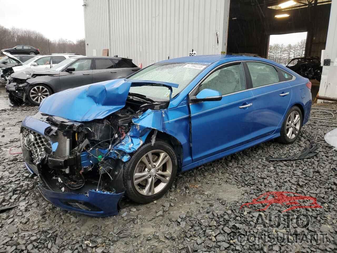 HYUNDAI SONATA 2019 - 5NPE34AF2KH763537