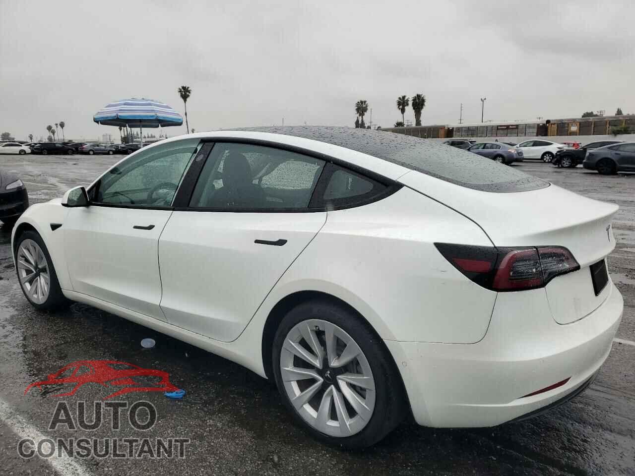 TESLA MODEL 3 2021 - 5YJ3E1EA5MF996201