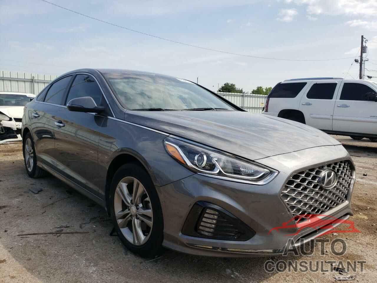 HYUNDAI SONATA 2019 - 5NPE34AF7KH810769