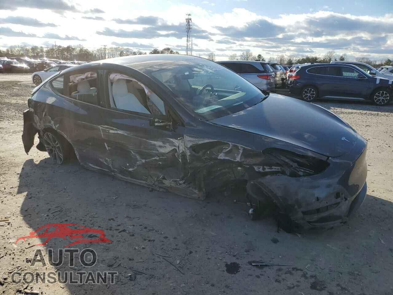 TESLA MODEL Y 2024 - 7SAYGDEE9RF194409