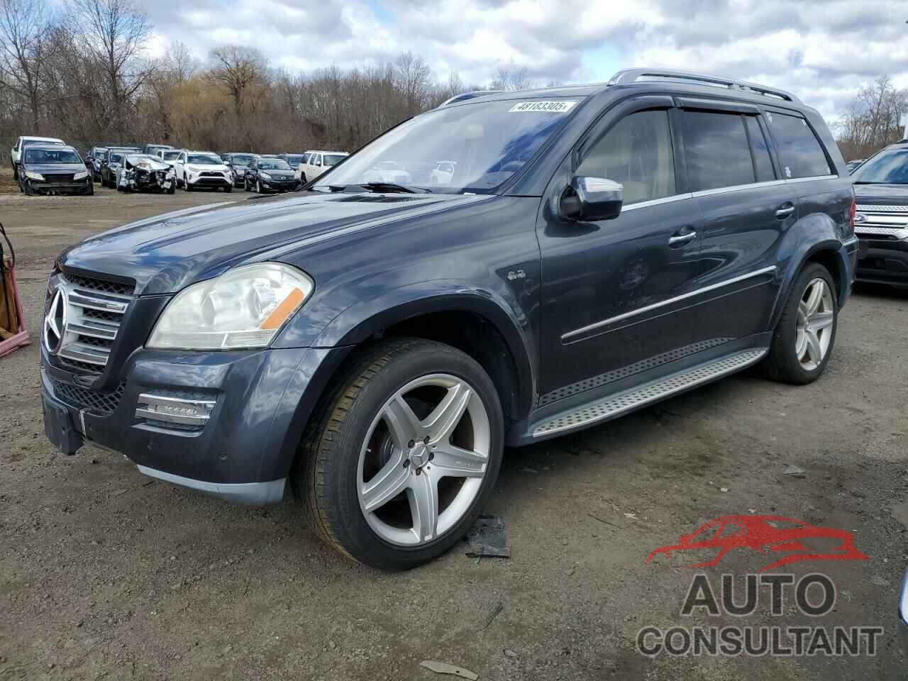 MERCEDES-BENZ GL-CLASS 2010 - 4JGBF8GB7AA511676