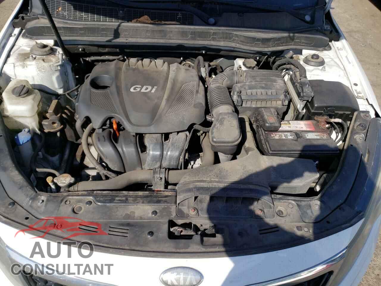 KIA OPTIMA 2013 - 5XXGN4A73DG184003
