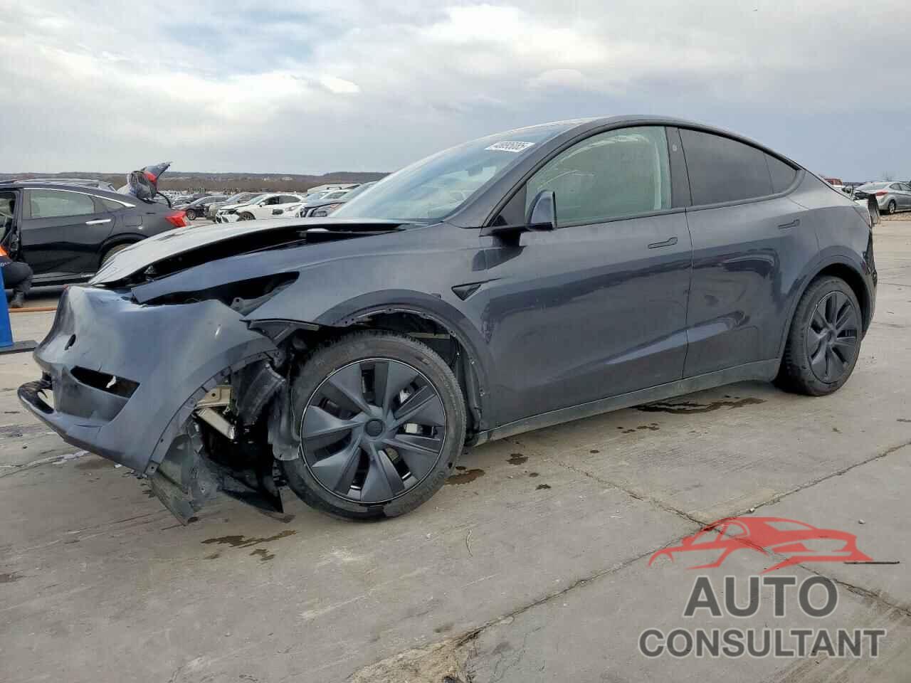 TESLA MODEL Y 2024 - 7SAYGDEE8RA304900