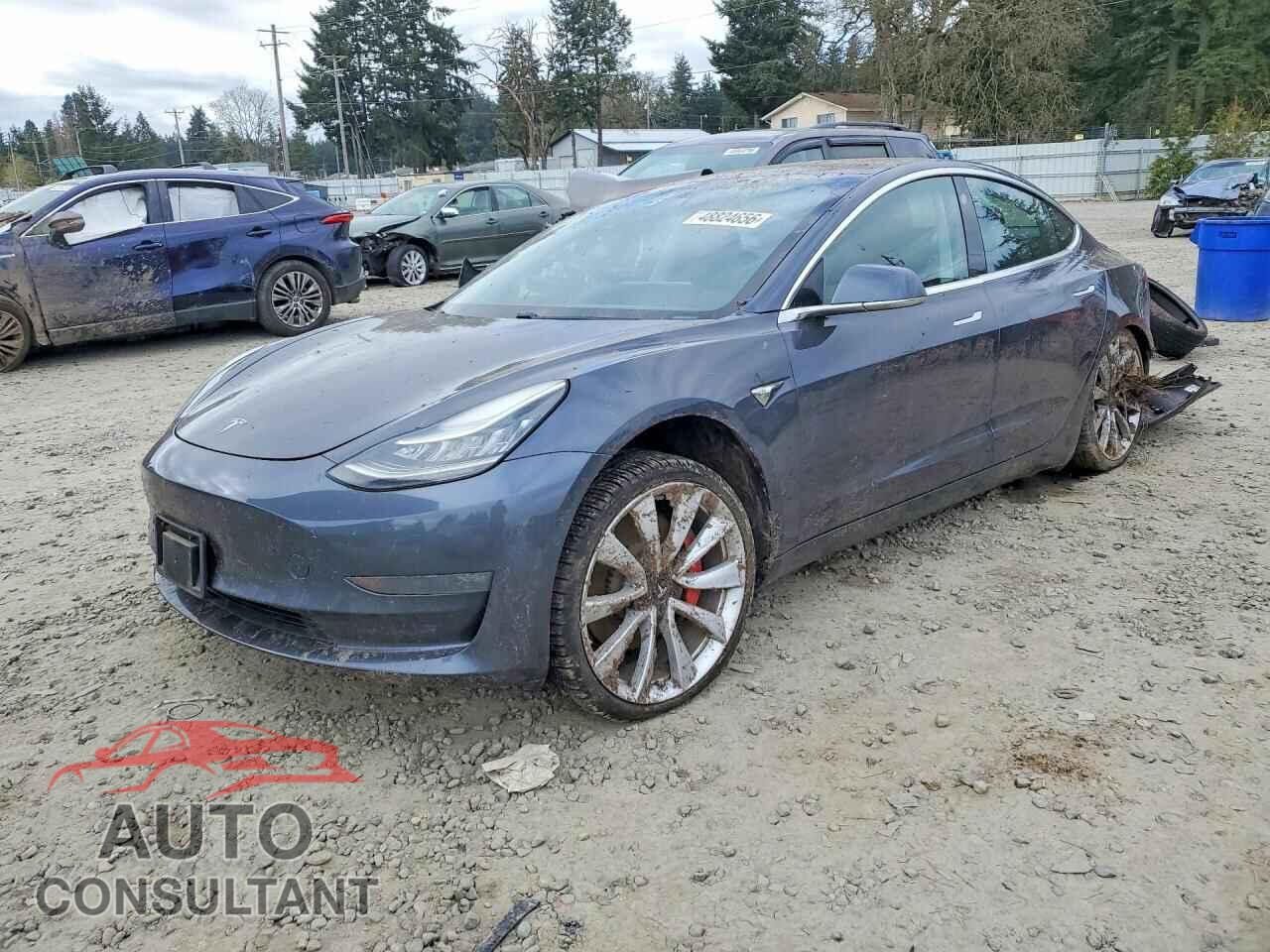 TESLA MODEL 3 2019 - 5YJ3E1EB8KF438428
