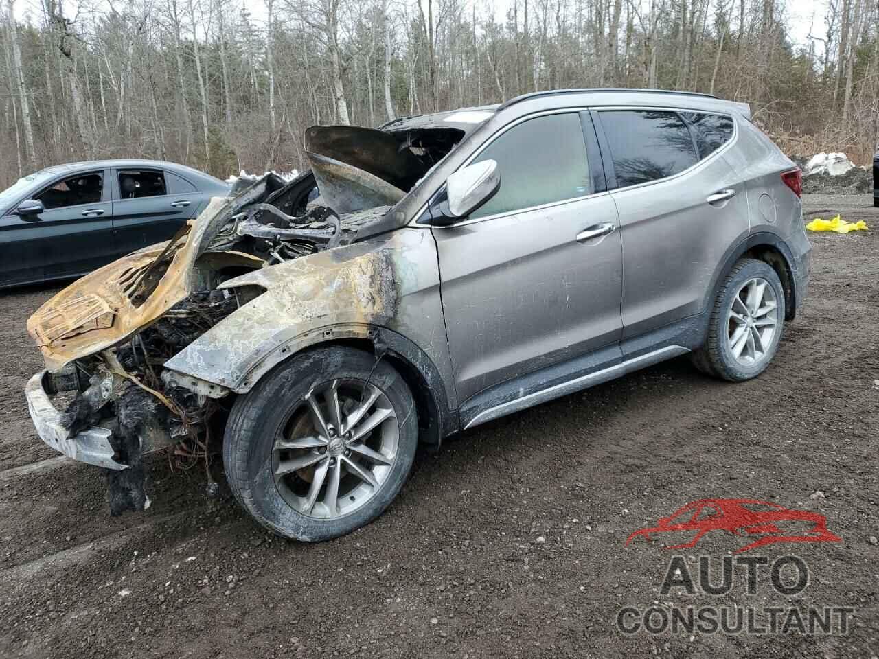 HYUNDAI SANTA FE 2017 - 5XYZUDLA7HG464089