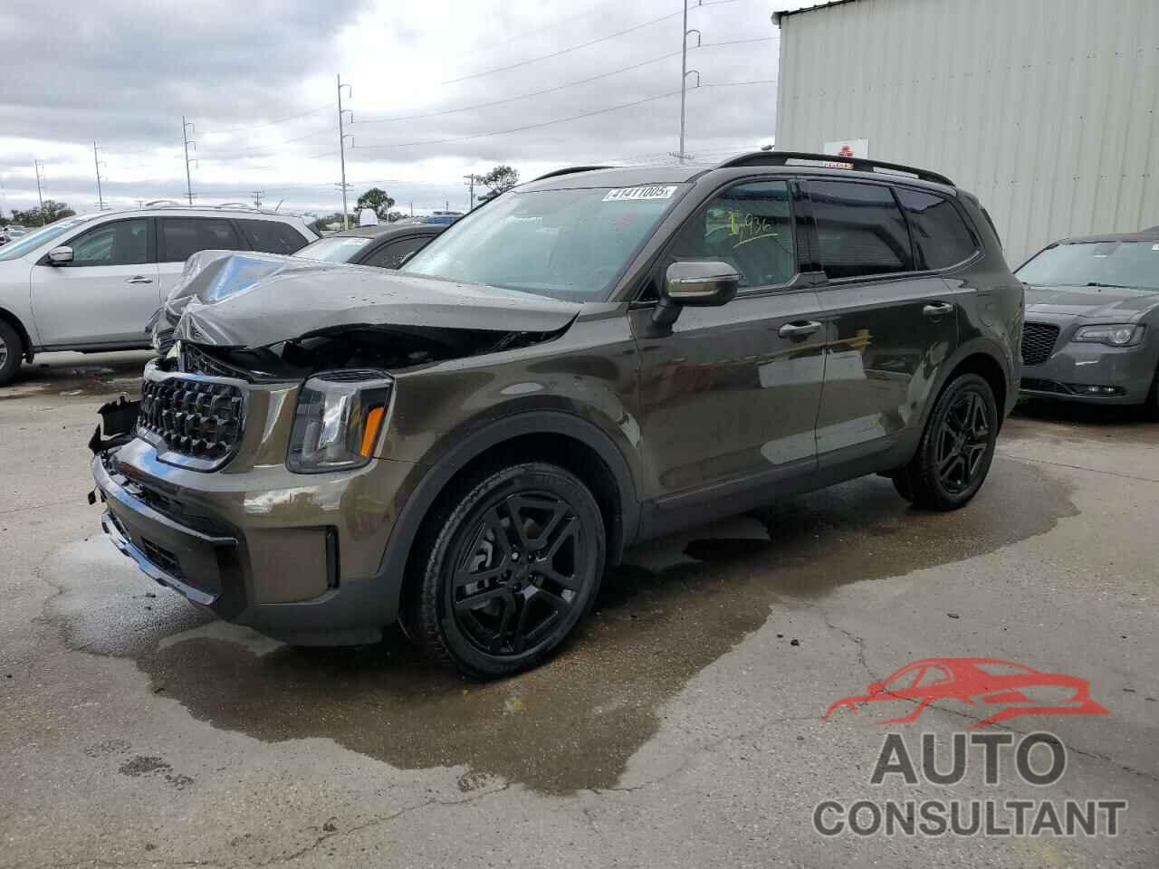 KIA TELLURIDE 2025 - 5XYP3DGC9SG570265