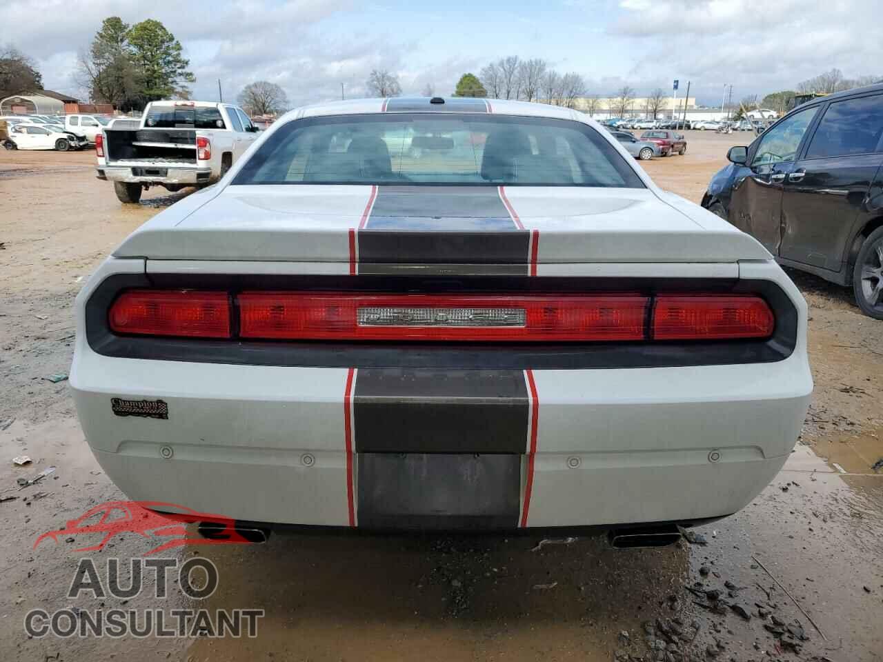 DODGE CHALLENGER 2013 - 2C3CDYAG6DH540177