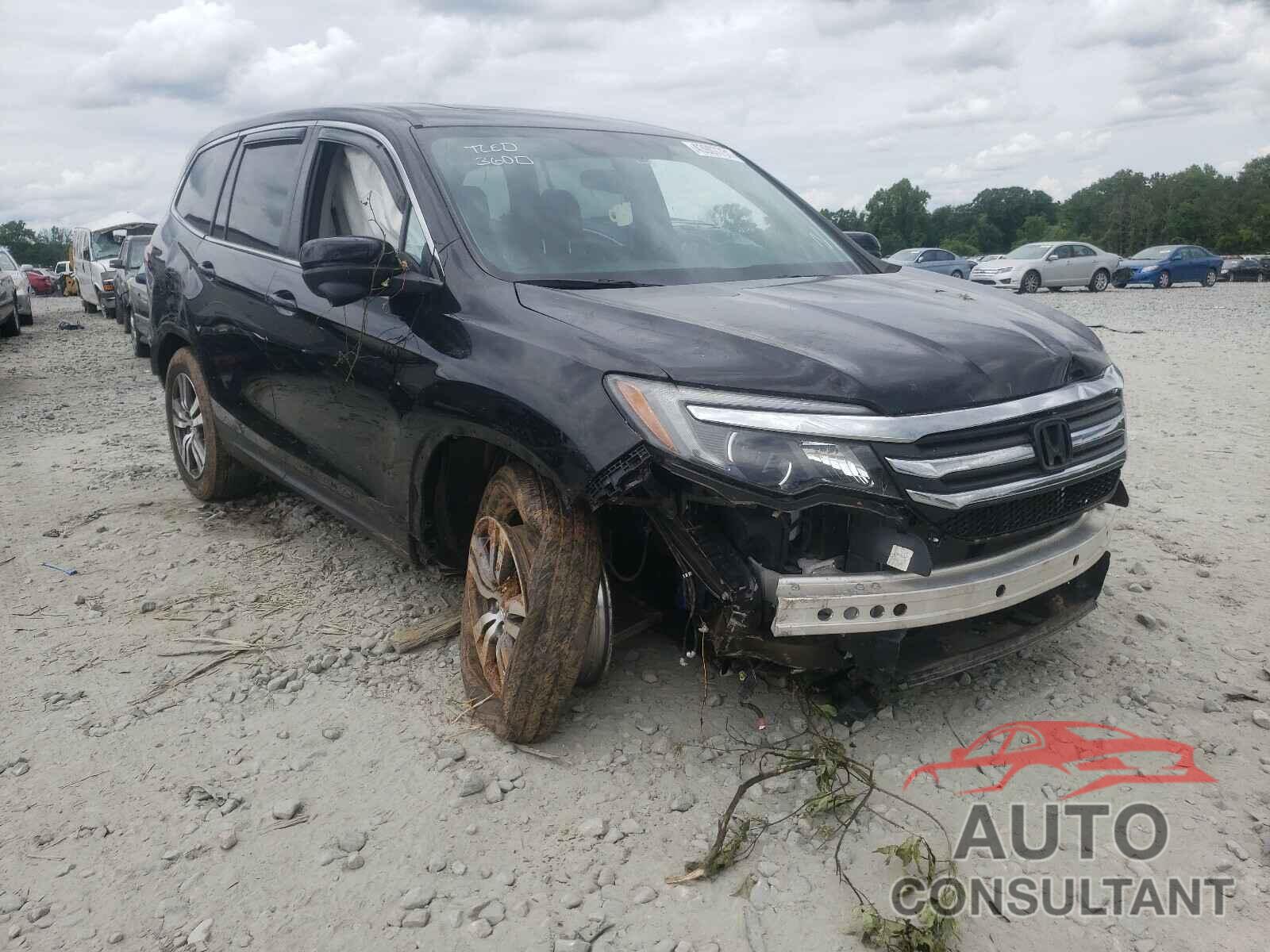 HONDA PILOT 2016 - 5FNYF6H50GB127377