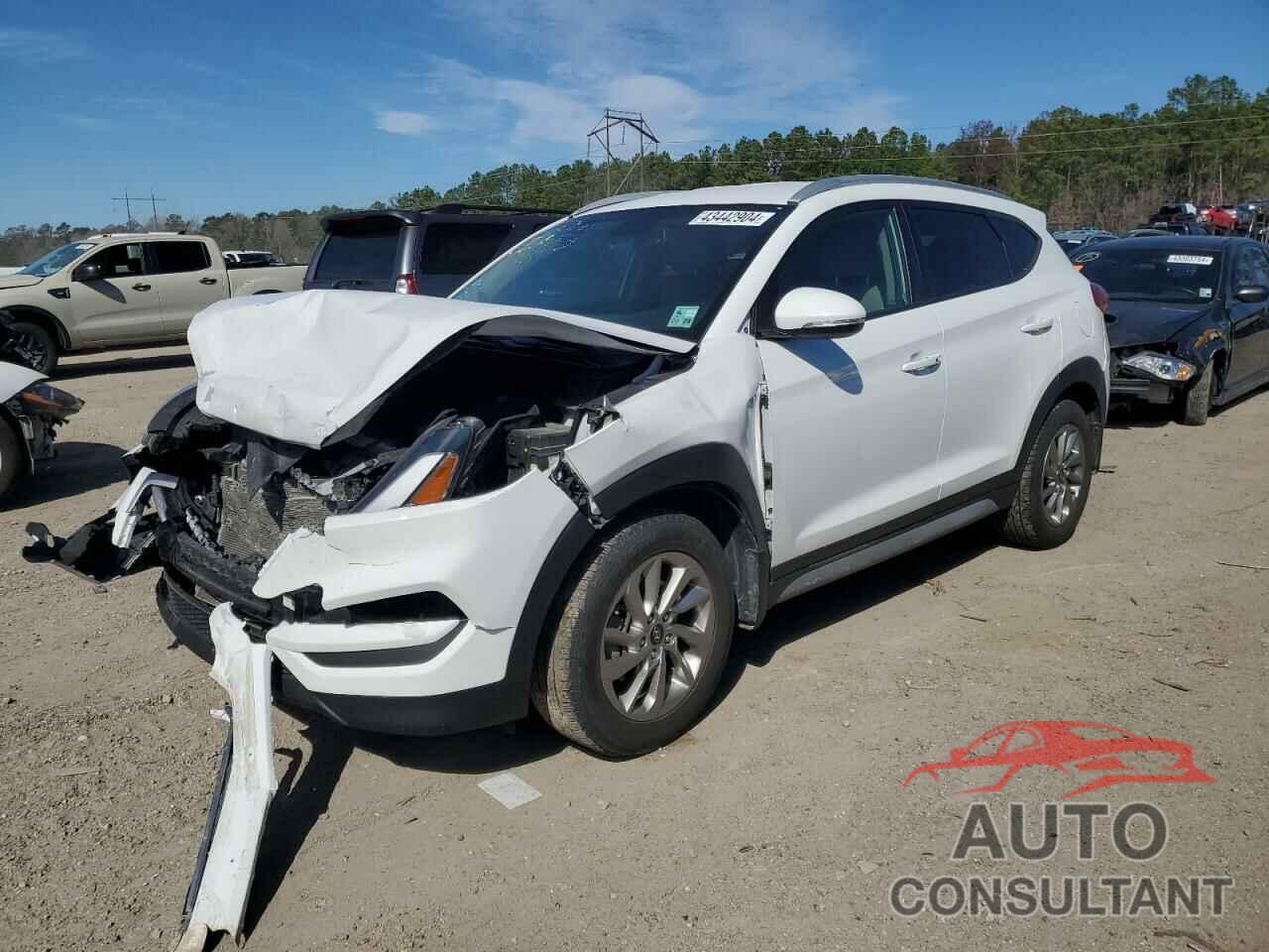 HYUNDAI TUCSON 2017 - KM8J33A47HU416898