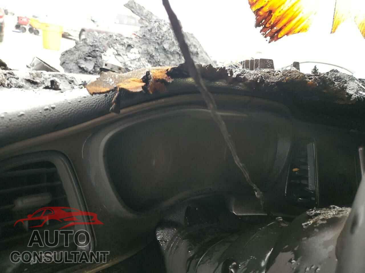DODGE CHALLENGER 2019 - 2C3CDZJG9KH566792