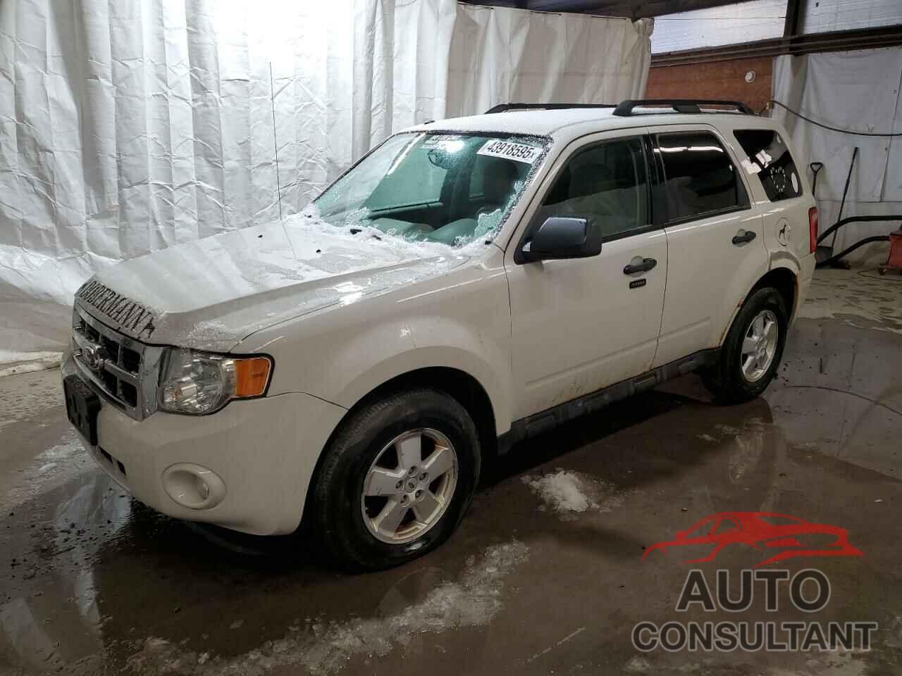 FORD ESCAPE 2011 - 1FMCU9DG7BKA91722