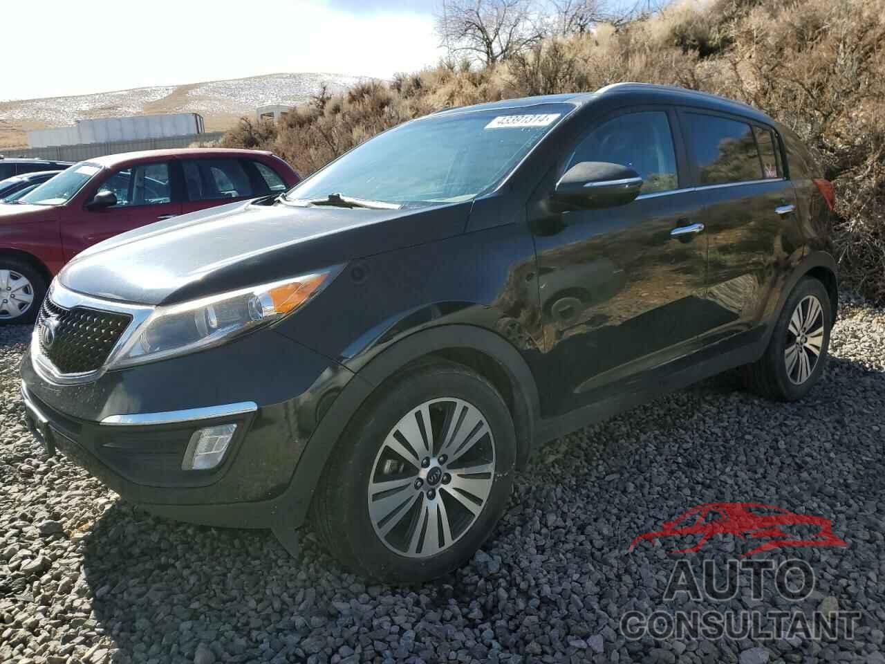 KIA SPORTAGE 2016 - KNDPC3AC6G7840155