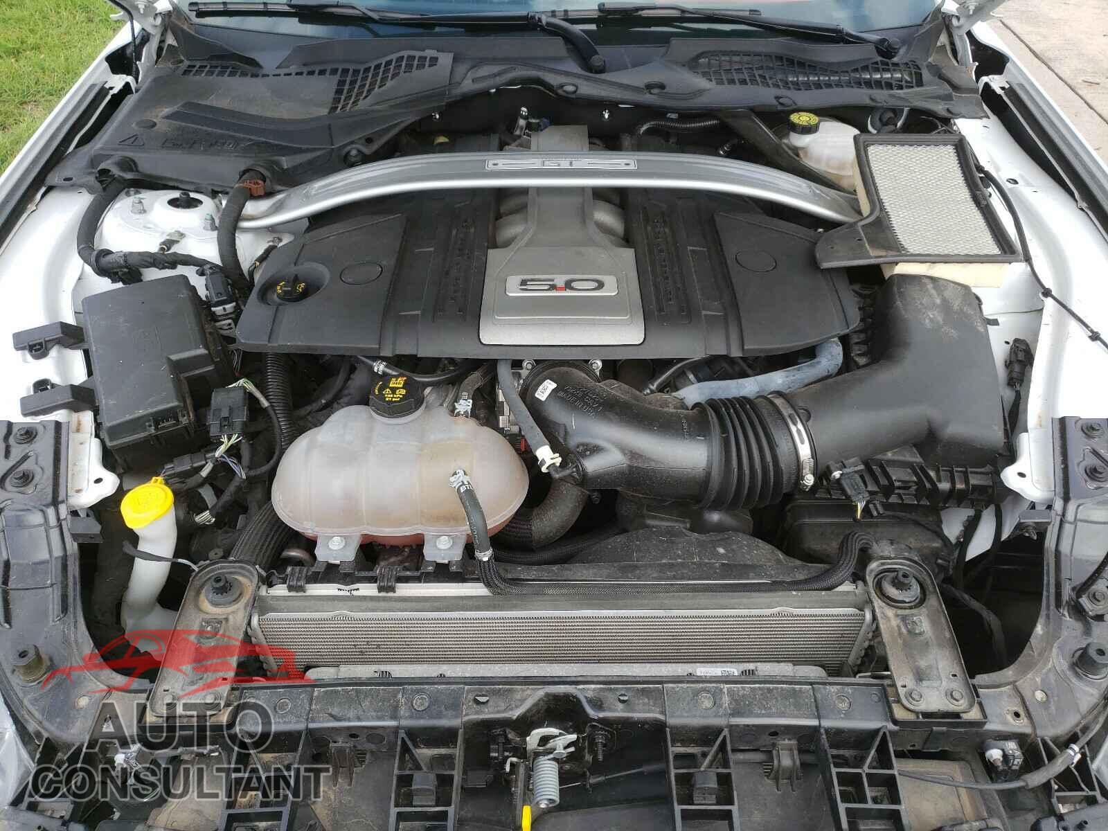 FORD MUSTANG 2019 - 1FA6P8CF0K5178894