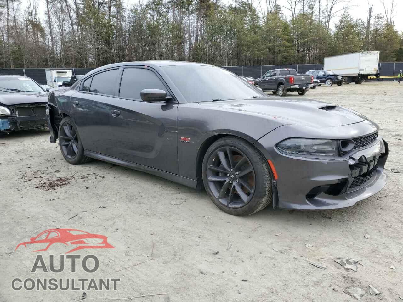 DODGE CHARGER 2019 - 2C3CDXGJ5KH742227