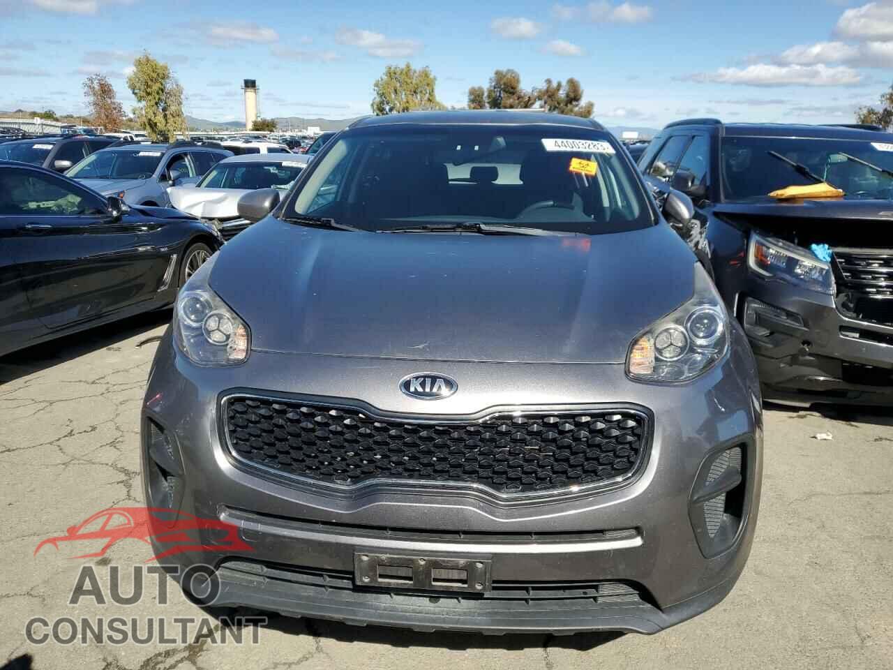 KIA SPORTAGE 2017 - KNDPM3AC5H7082758
