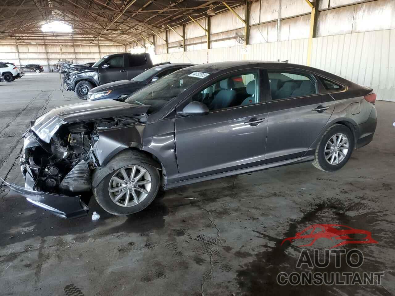 HYUNDAI SONATA 2019 - 5NPE24AF7KH746784