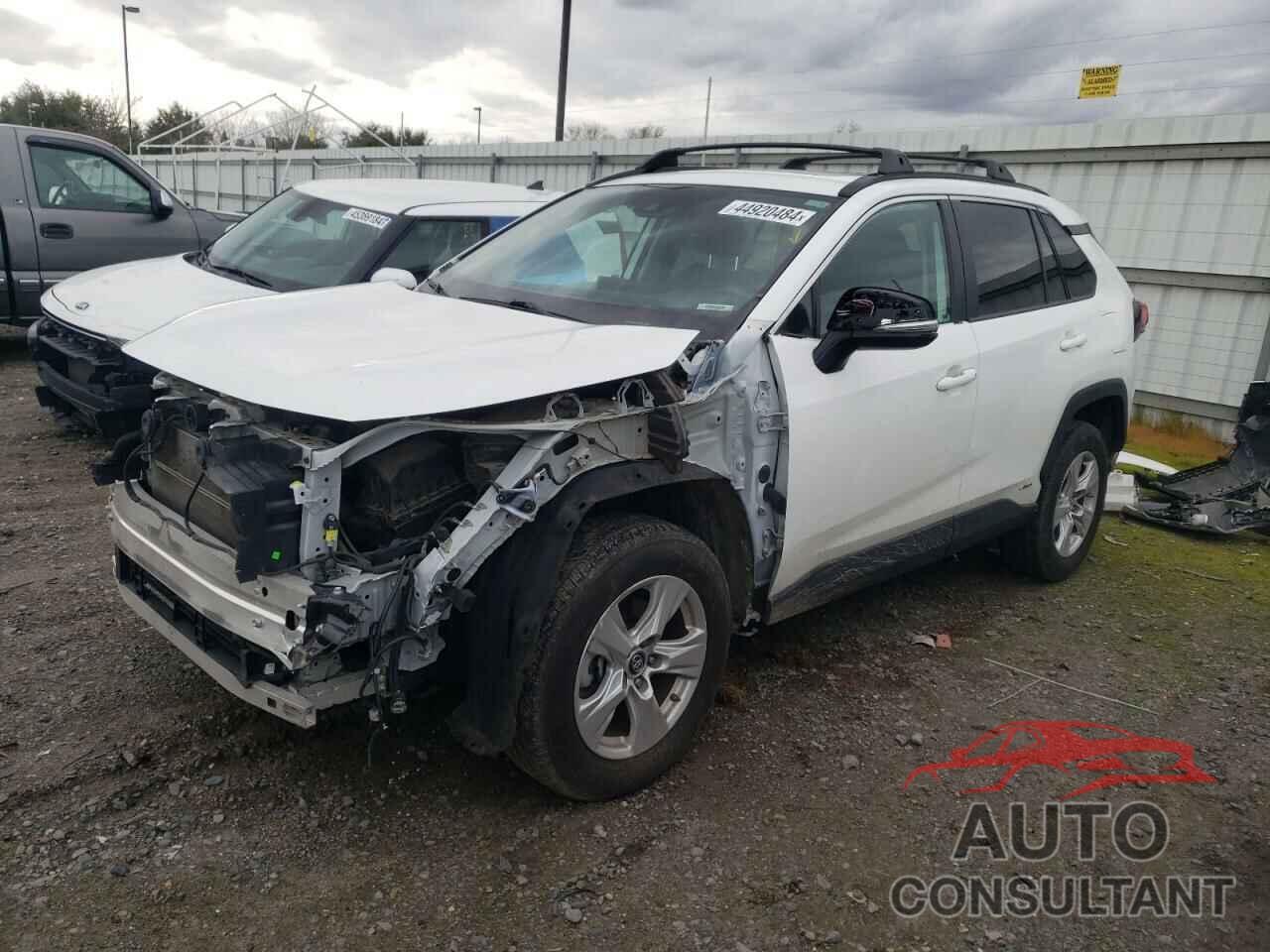 TOYOTA RAV4 2019 - 2T3RWRFV7KW028695