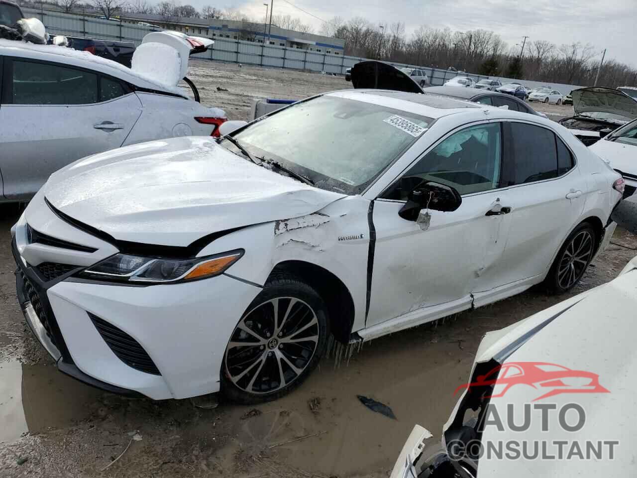 TOYOTA CAMRY 2020 - 4T1J31AK8LU014223