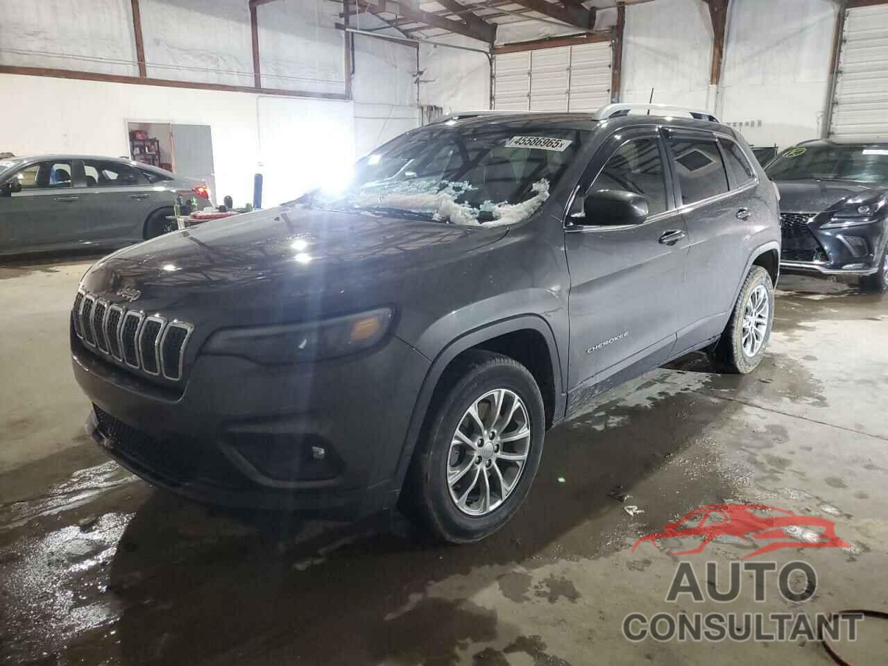 JEEP GRAND CHER 2019 - 1C4PJMLX9KD120922