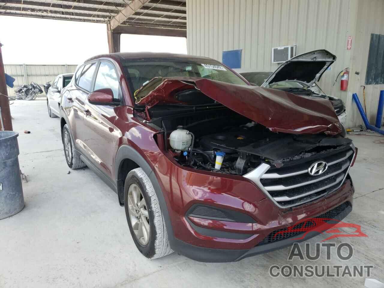 HYUNDAI TUCSON 2017 - KM8J23A49HU538309