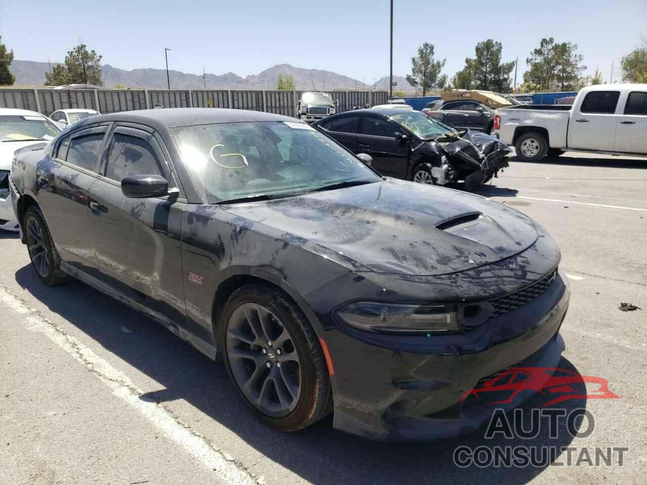 DODGE CHARGER 2021 - 2C3CDXGJXMH616206