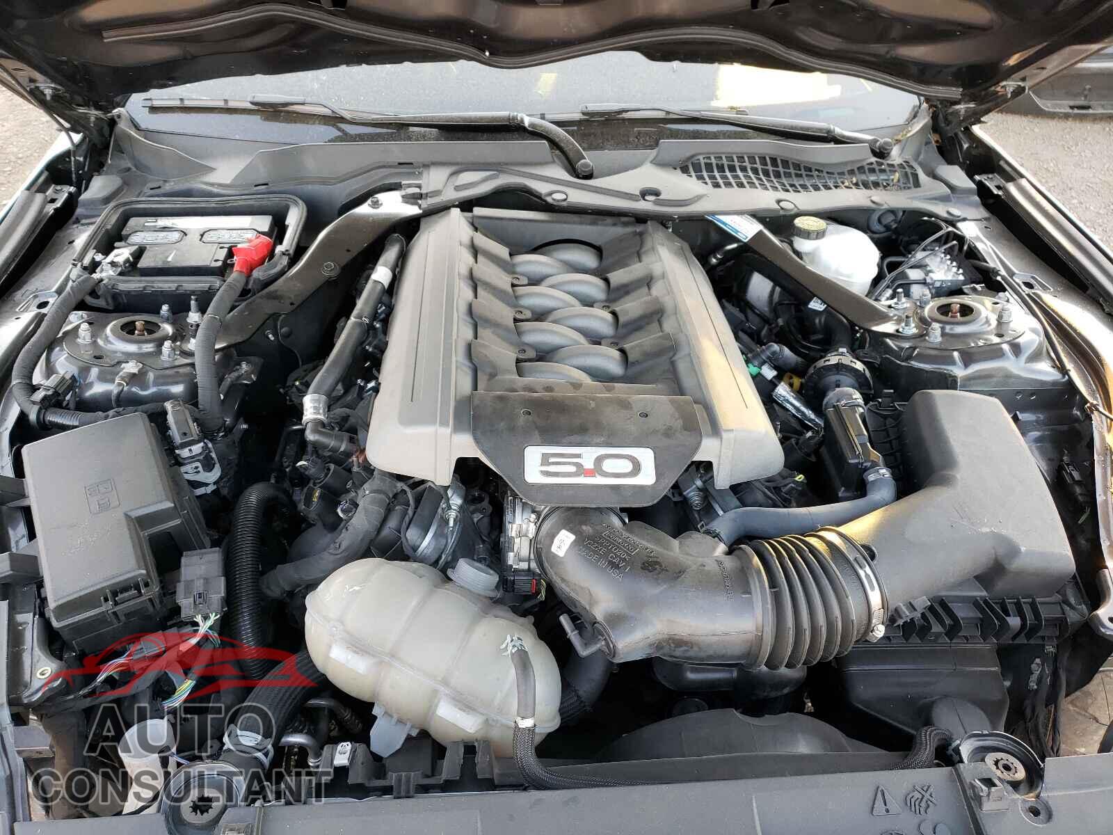 FORD MUSTANG 2019 - 1FA6P8CF6K5157600
