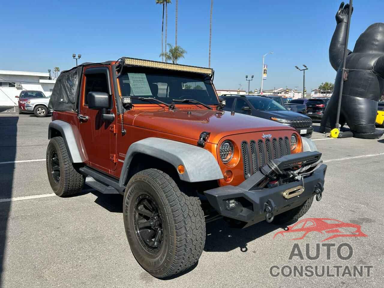 JEEP WRANGLER 2011 - 1J4AA2D19BL513064