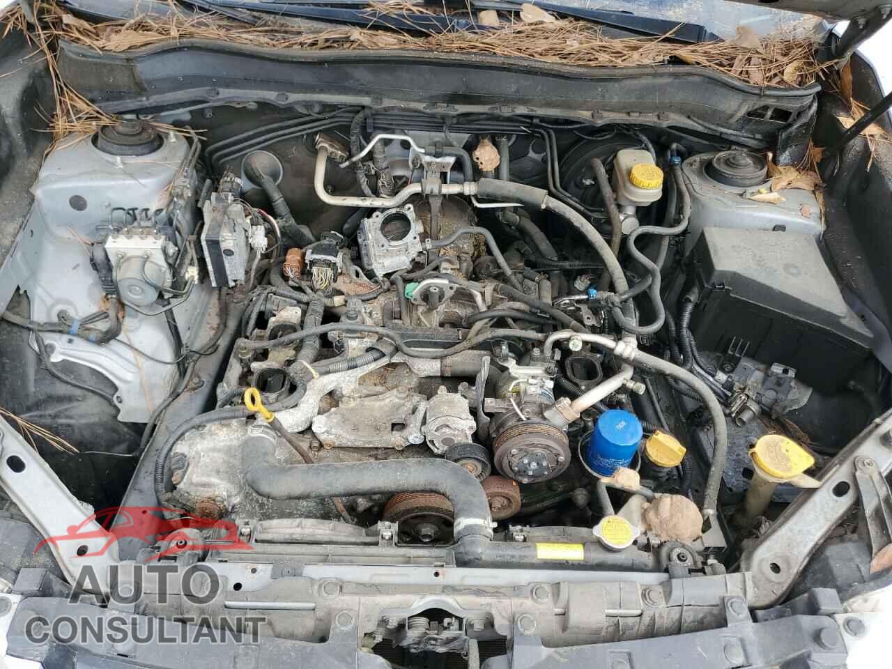 SUBARU FORESTER 2014 - JF2SJAAC0EH425538