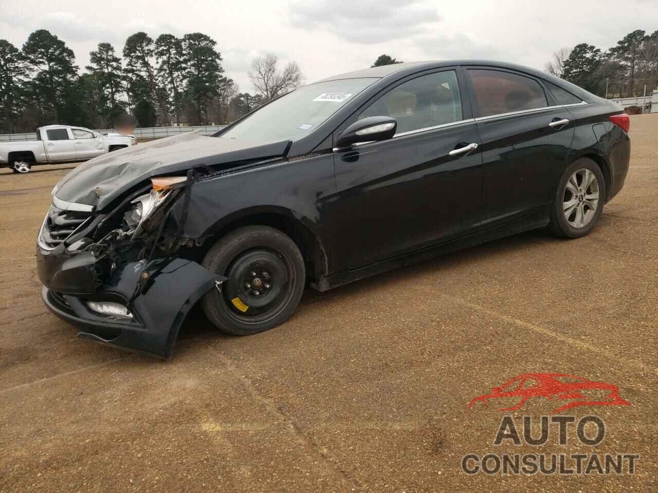 HYUNDAI SONATA 2013 - 5NPEC4AC7DH515096