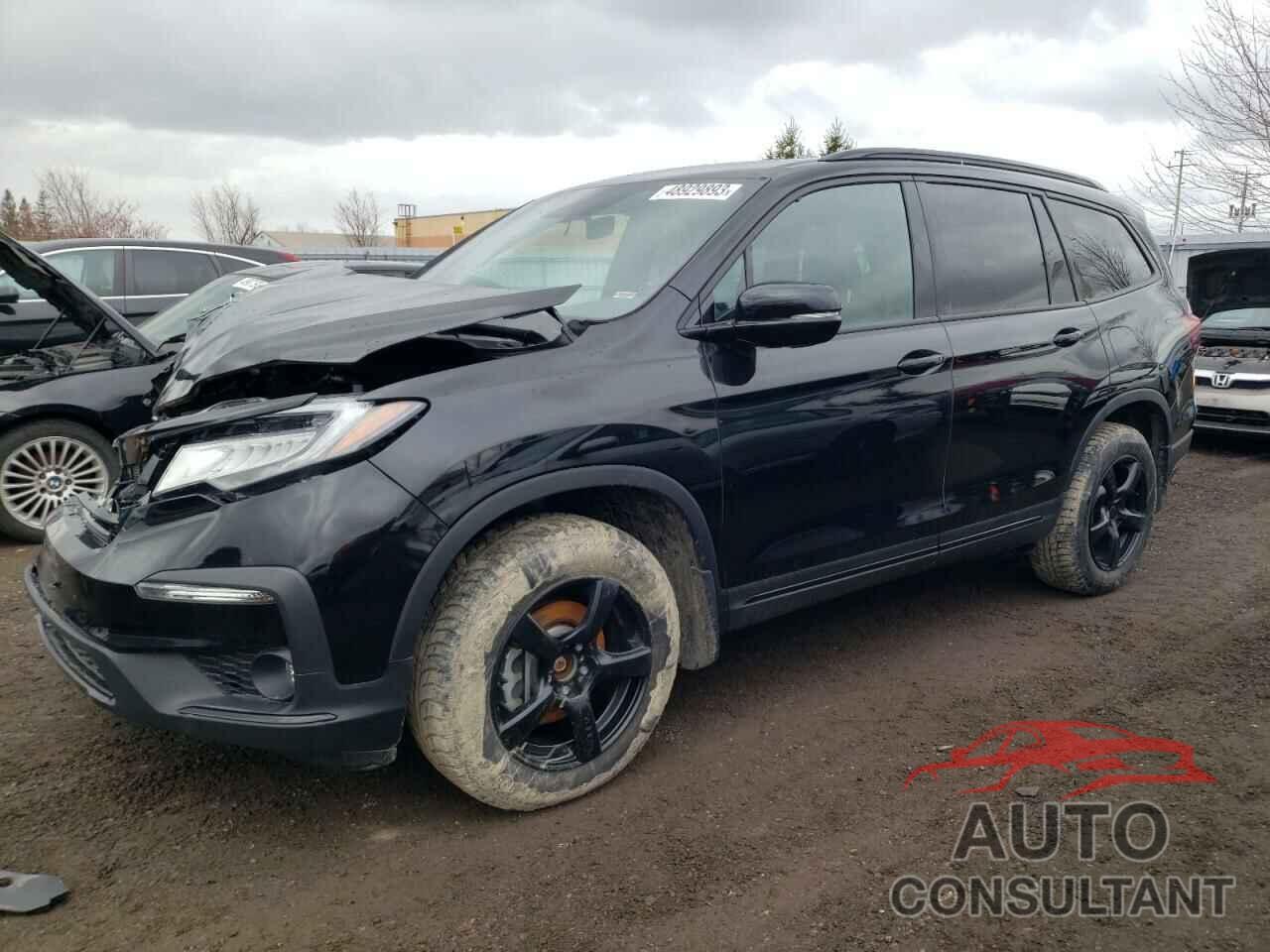 HONDA PILOT 2022 - 5FNYF6H02NB500792