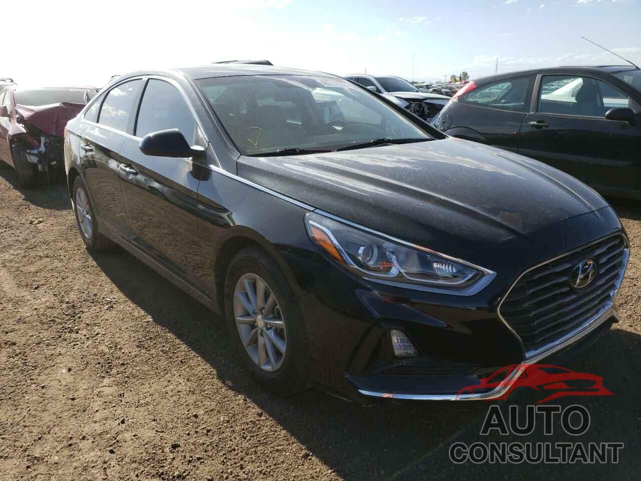 HYUNDAI SONATA 2019 - 5NPE24AF5KH763504