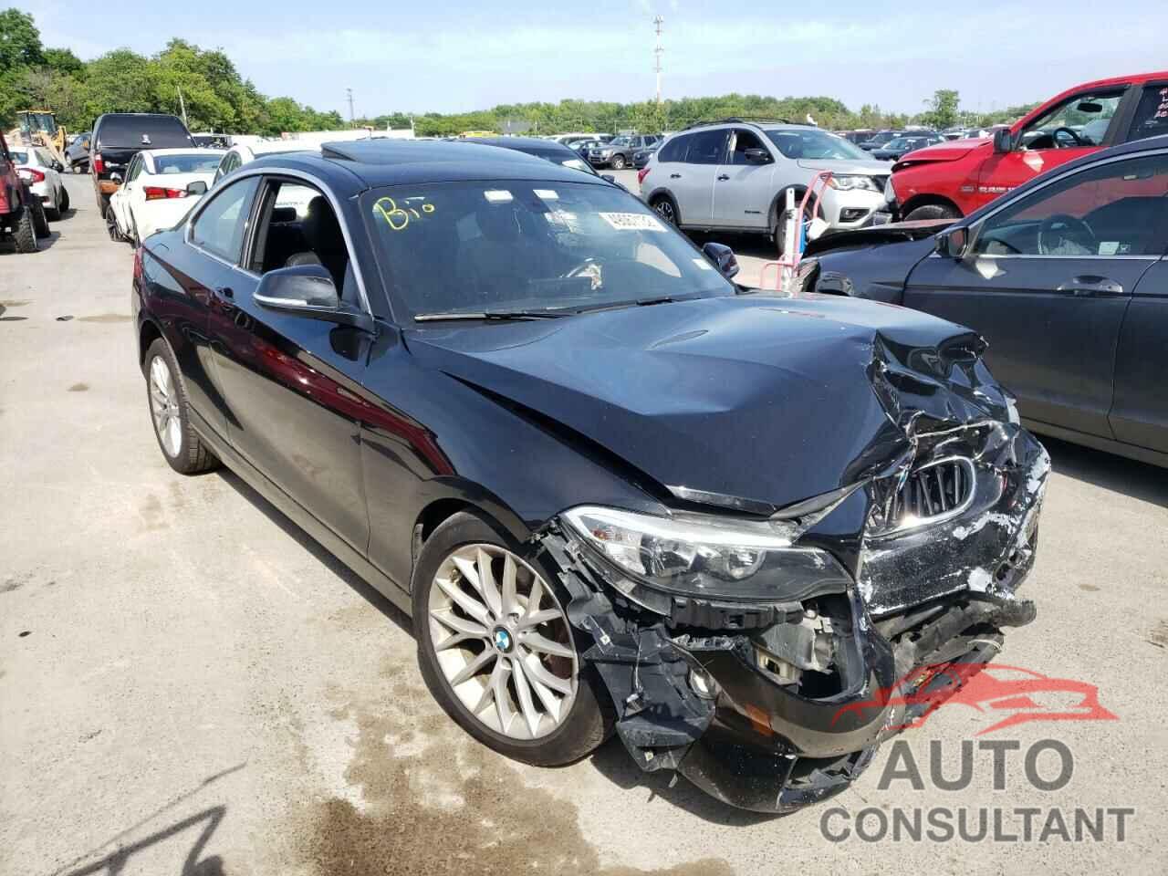 BMW 2 SERIES 2016 - WBA1G9C55GV599726