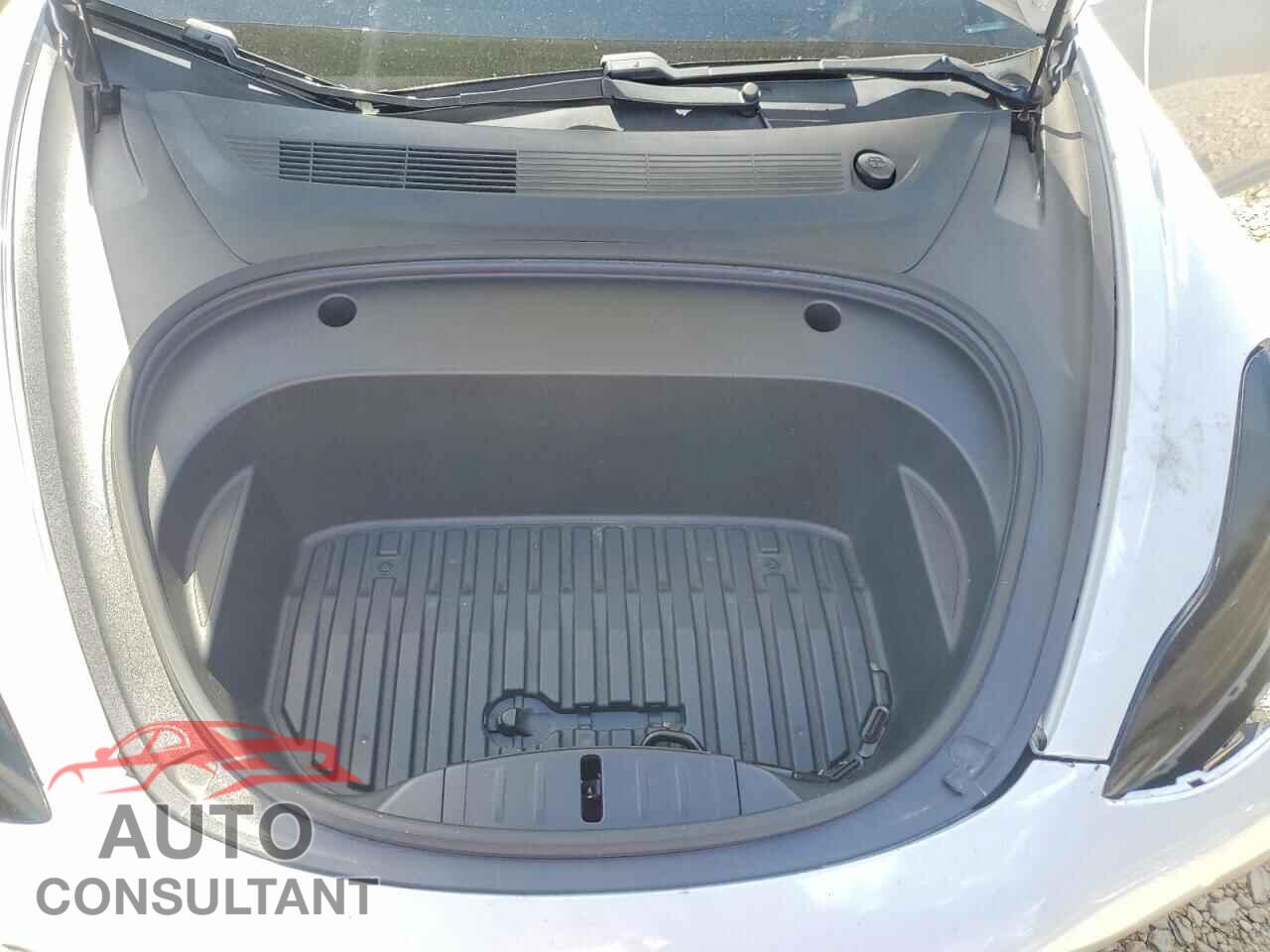 TESLA MODEL 3 2021 - 5YJ3E1EA1MF868103