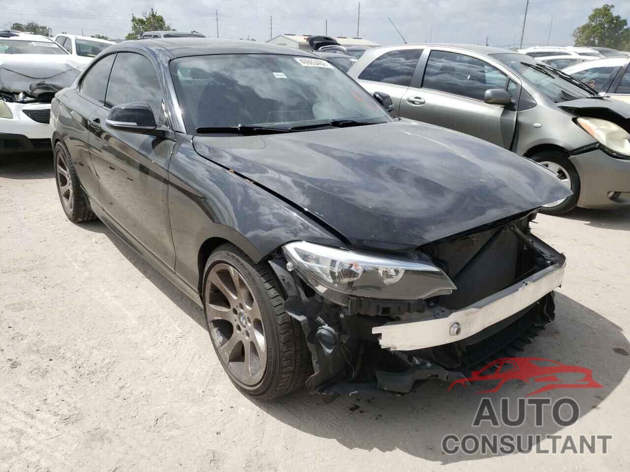 BMW 2 SERIES 2017 - WBA2F9C33HV664998