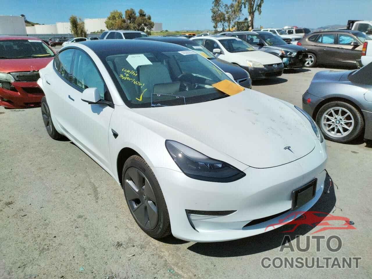 TESLA MODEL 3 2021 - 5YJ3E1EA8MF089944