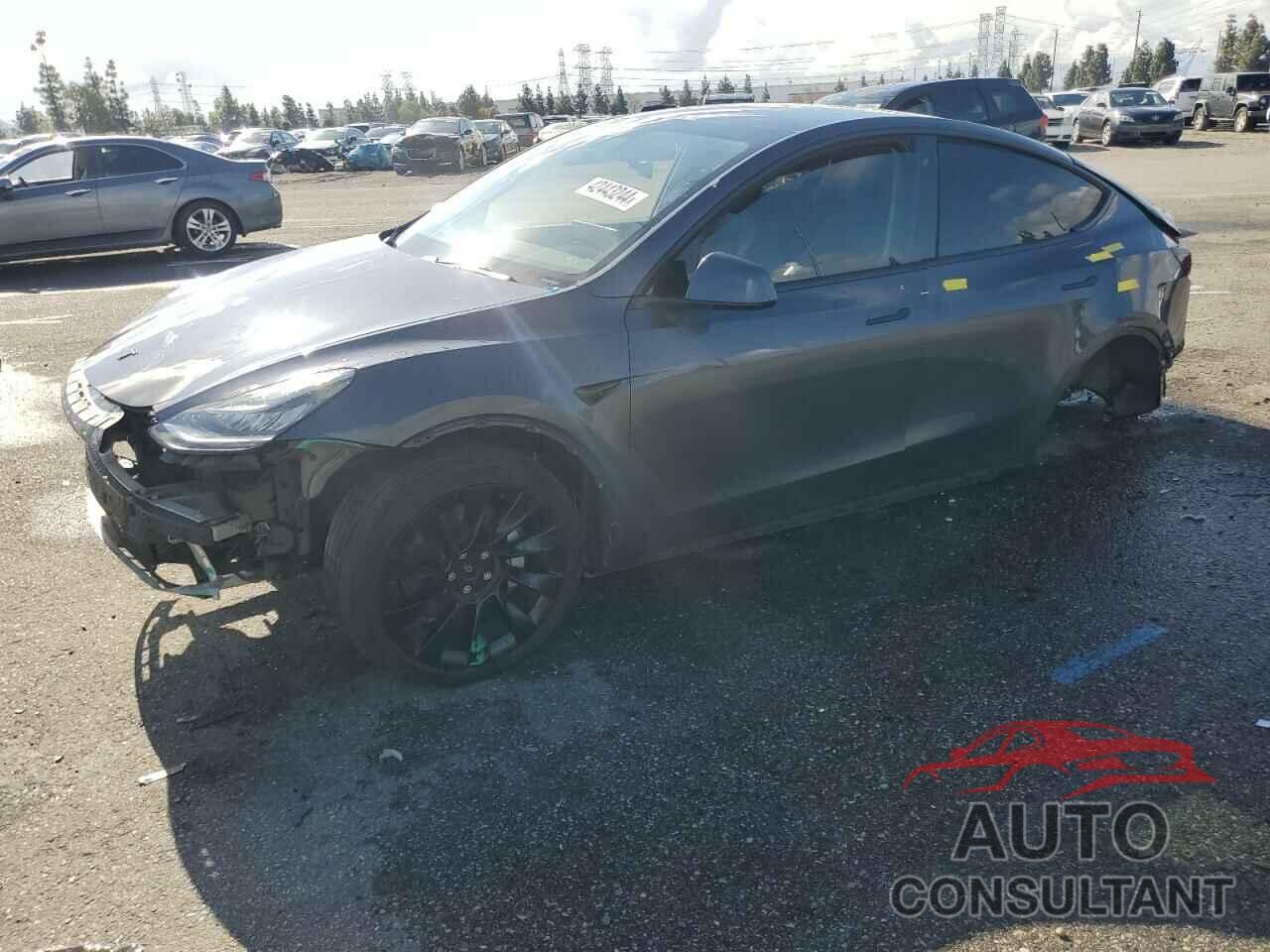 TESLA MODEL Y 2020 - 5YJYGDEEXLF041929