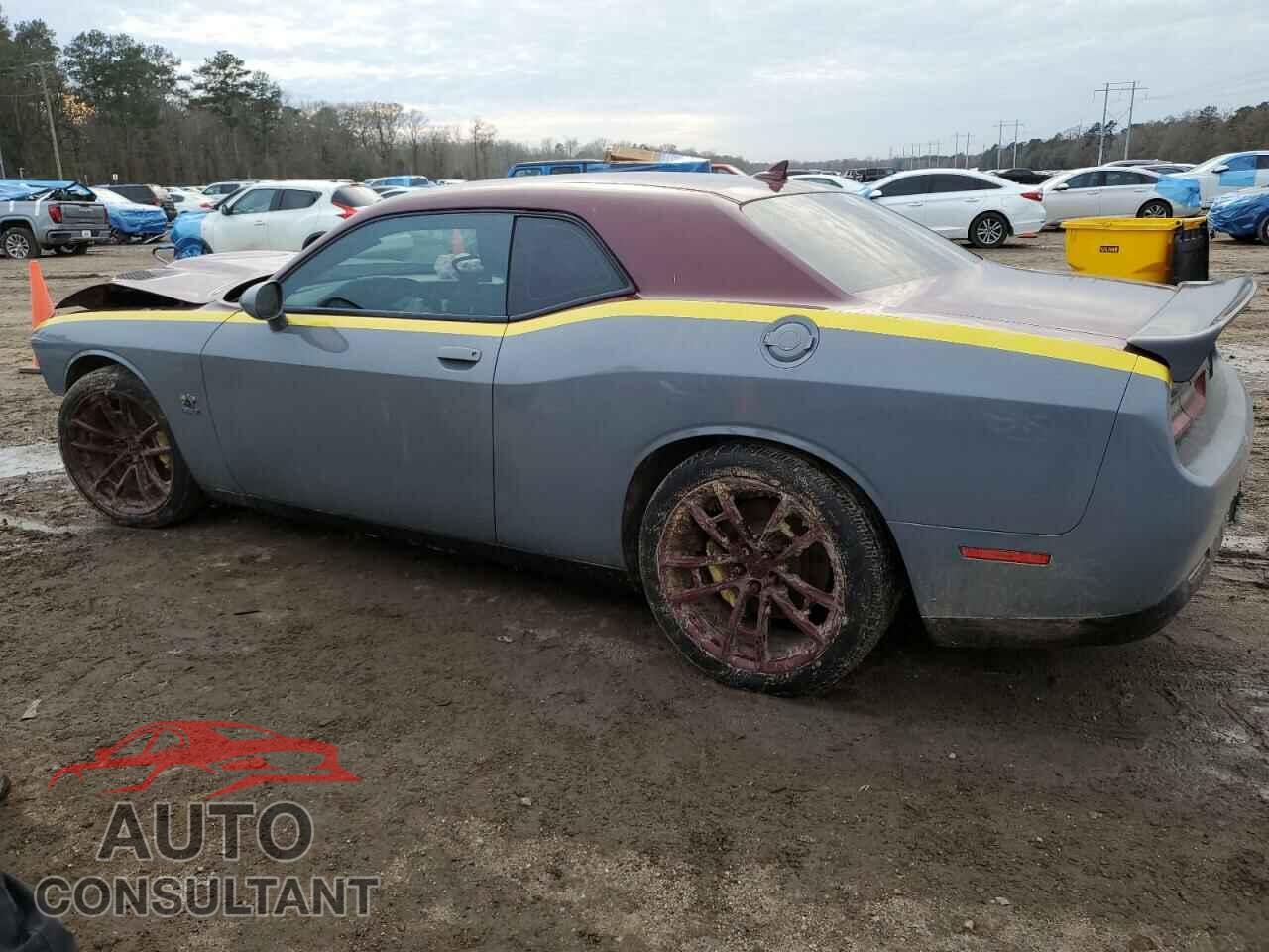 DODGE CHALLENGER 2019 - 2C3CDZFJ3KH581485
