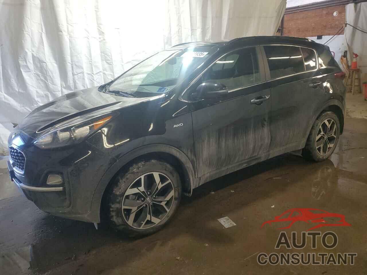 KIA SPORTAGE 2022 - KNDPNCAC4N7964500